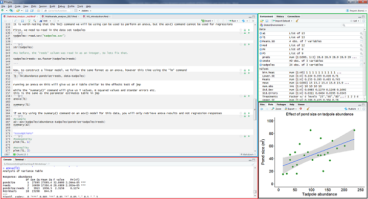 The R Studio Environment